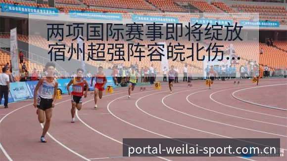 两项国际赛事即将绽放宿州超强阵容皖北伤病恢复对赛程影响风 - 纬来体育平台App