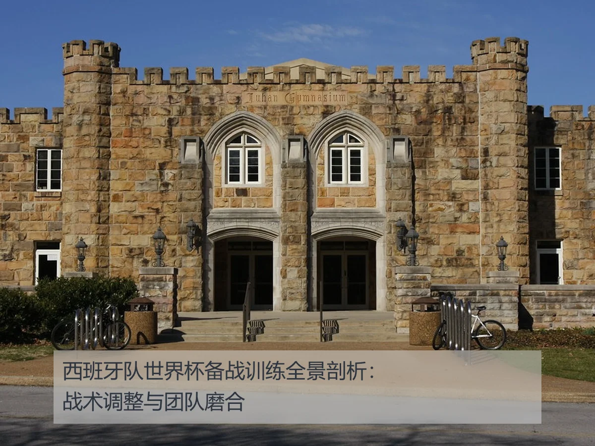西班牙队世界杯备战训练全景剖析:战术调整与团队磨合